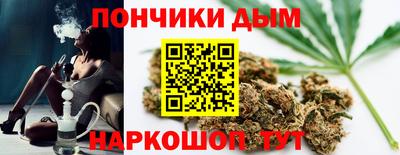 гидра Кандалакша