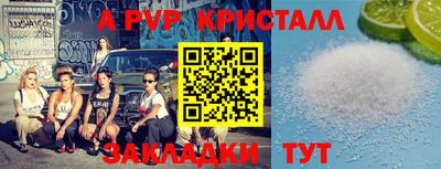 стаф Канаш