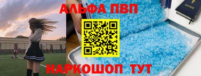 стаф Канаш