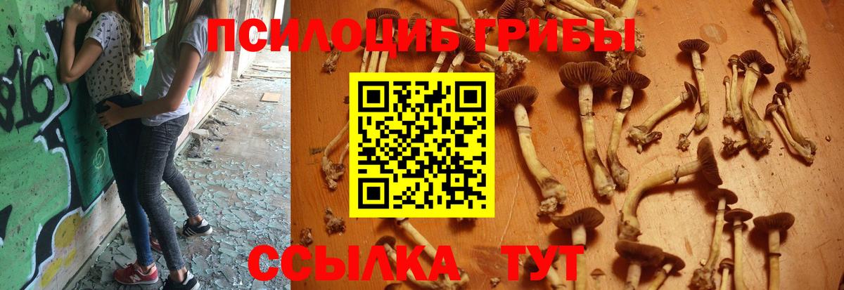 Псилоцибиновые грибы мицелий  где можно купить наркотик  Джанкой  Вход с VPN 