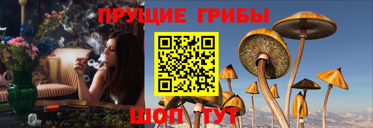 Галлюциногенные грибы Cubensis Джанкой